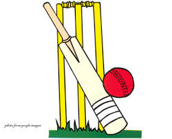 cricket-cartoon - Halls Gap